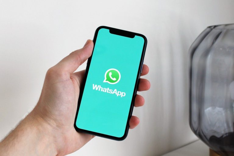 11 Best WhatsApp Transfer Software of 2023 (Free and Online)