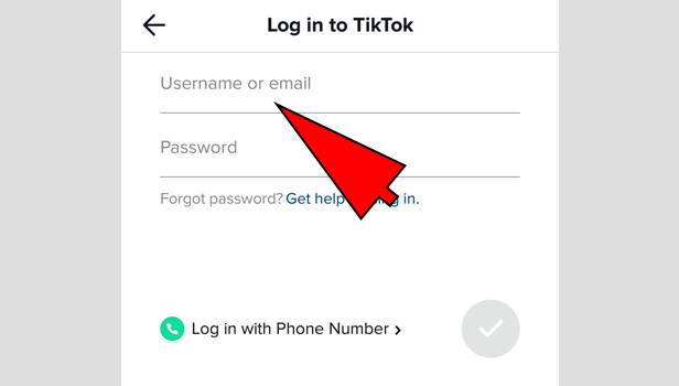 TikTok Usernames and Passwords for TikTok Accounts In 2024